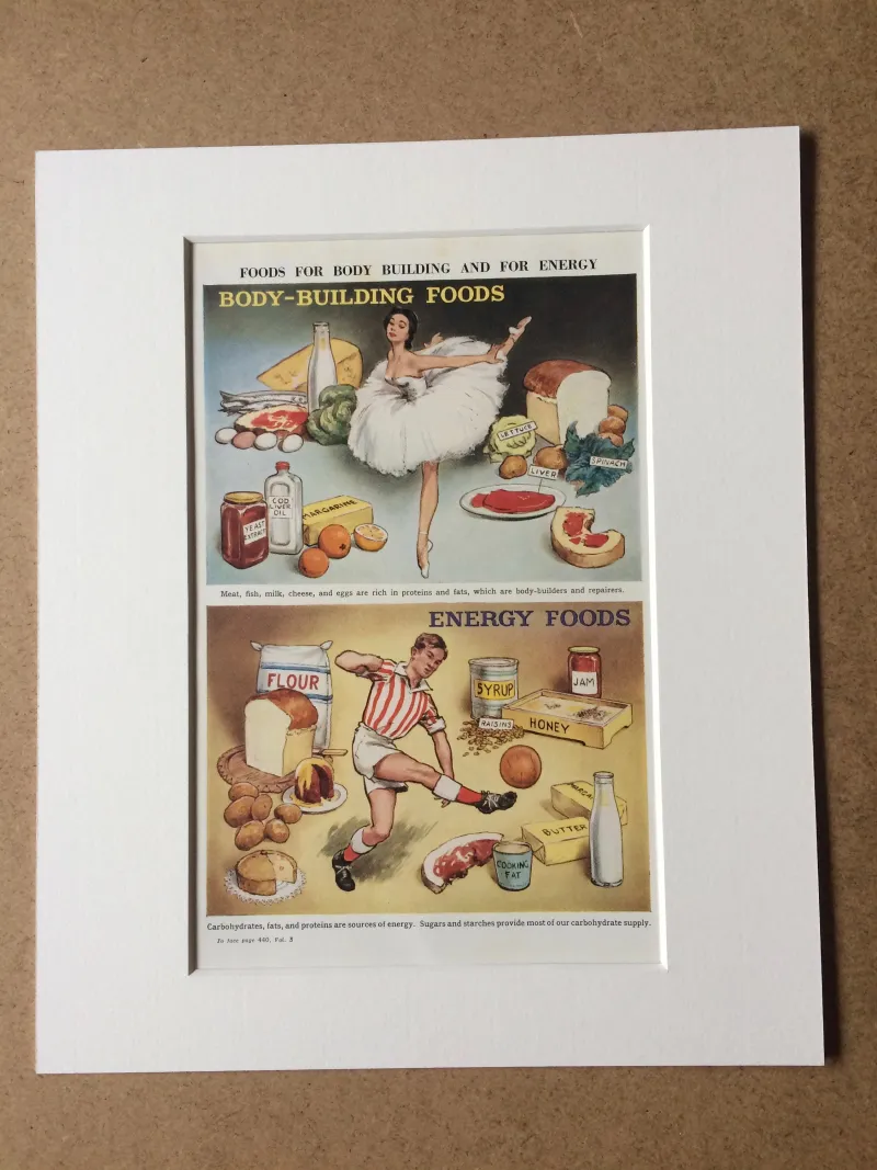 We've Already Done This Diet Before: America's Hilarious Habit of Reinventing Century-Old Food Cults